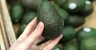 Fresh Avocado