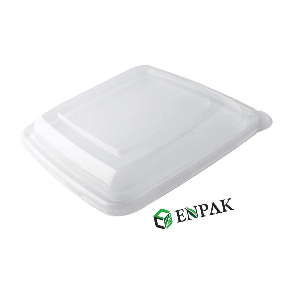 Bagasse pulp biodegradable packaging box