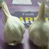 /product-detail/fresh-off-white-garlic-natural-garlic-62011880591.html