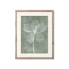 Watercolor Flower Poster HD Canvas Print Painting Home Decor room Wall Art Photo Frame