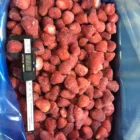 China supplier frozen iqf strawberry whole AM 13 15-25mm