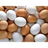 /product-detail/grade-1-fresh-chicken-table-eggs-fertilized-hatching-eggs-white-and-brown-eggs-for-sale-62010517273.html