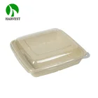 Food Packing Plates Packaging Plates Disposable Food Packing Microwavable Sugarcane Bamboo Plates