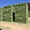 Animal Feed Alfalfa Hay