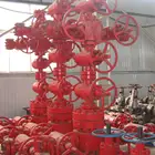 Solution Integral Solution For Oilfield Petroleum Oil Production Wellhead Christmas Tree Equipment