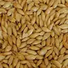 /product-detail/high-grade-canary-seed-62017631046.html