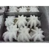 /product-detail/frozen-big-octupus-two-skin-baby-octupus-frozen-octopus-whole-cleaned-62018180706.html