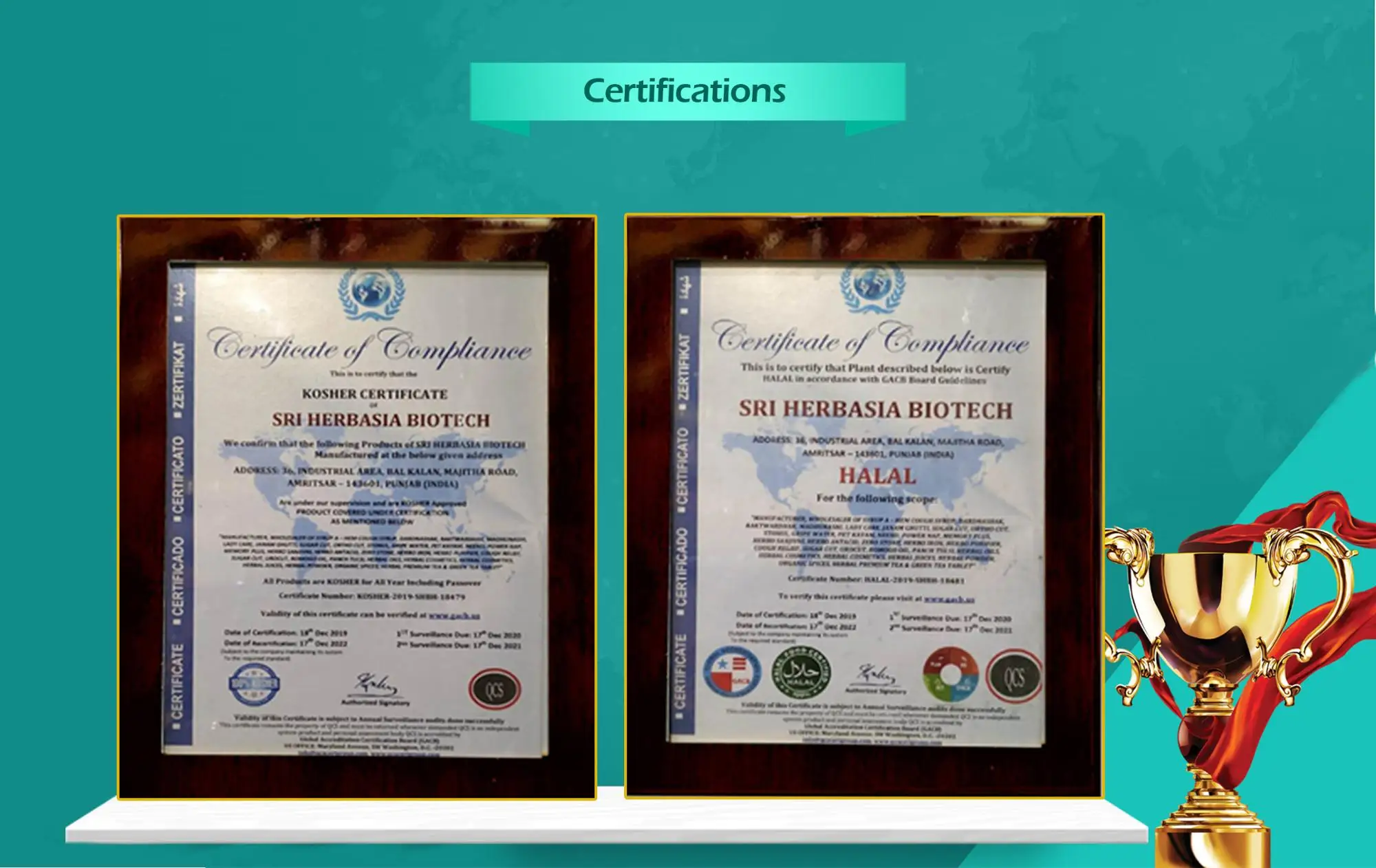 certificate-new.jpg