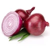 High Nutrients Red Fresh Healthy Onion Buyers