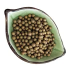Bio Filter System Micro Porous Ceramic Ball for RO Water Treatment