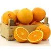 /product-detail/hot-selling-navel-orange-export-navel-oranges-fresh-fruit-navel-orange-62013296474.html