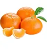 /product-detail/valencia-orange-and-mandrin-oranges-citrus-from-ukraine-ready-to-export-season-62011314032.html
