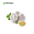 Top Grade Powder Extract 1% Allicin Powder Garlic Extract