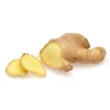 /product-detail/good-price-of-fresh-ginger-62017419971.html