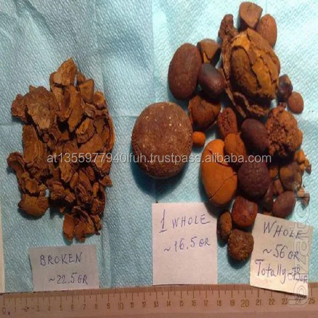 buy gallstones 80/20 cow, ox gallstones, cattle gallstones