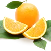 /product-detail/t-taiwan-export-nutrition-orange-fresh-fruit-62016330278.html