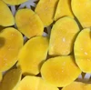 /product-detail/wholesale-bulk-iqf-frozen-yellow-mango-frozen-mango-high-quality-with-best-price-62014306890.html