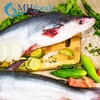 MOC HA FOODS FROZEN WHOLE ROUND PANGASIUS FROM VIETNAM