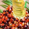 /product-detail/high-cheap-price-refined-palm-oil-for-cooking-62017669236.html