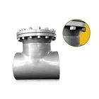 Carbon Steel Basket Pipeline filter T type Strainer