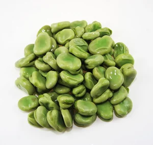dry horse beans