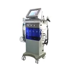 Hydro Hydra Dermabrasion Led Light Microdermabrasion Jet Facial Diamond Peeling Machine