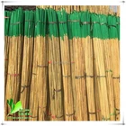 50cm Plastic Coated Natural Raw Tonkin Bamboo Poles For Olive Tree