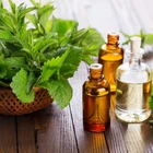 Herb supply bulk 100% Pure Nature Peppermint extract Peppermint Essential Oil