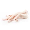 /product-detail/ukraine-frozen-for-exporting-meat-frozen-chicken-paws-62009929489.html