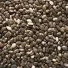 /product-detail/100-pure-chia-seed-in-bulk-packaging-62009216298.html