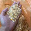 /product-detail/top-good-quality-animal-feed-corn-yellow-maize-62015180262.html