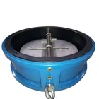 Check valve nodular fabrication cast iron ggg50 has price list spot inventory manufacturers direct sales