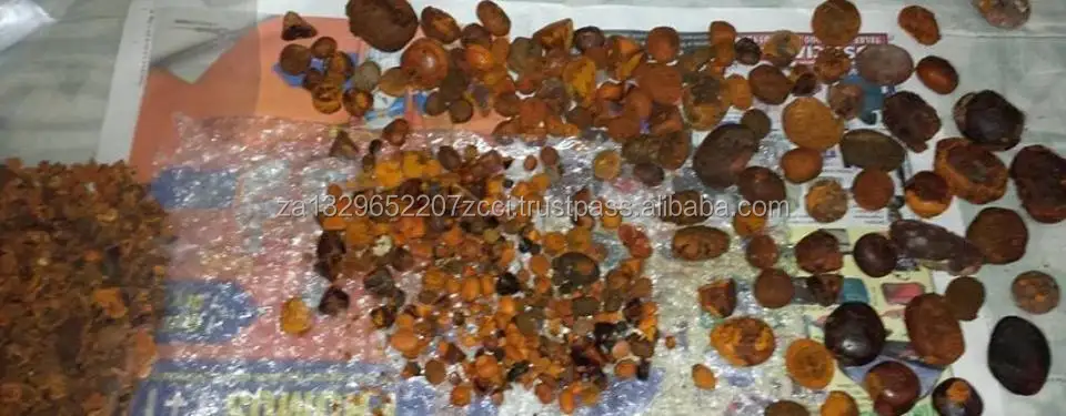 ox gallstones/,cow gallstones for sale