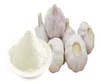 /product-detail/dried-garlic-granule-dehydrated-garlic-powder-granulation-process-62016478557.html