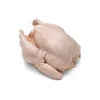 /product-detail/import-frozen-whole-chicken-frozen-whole-chicken-for-sale-62015636167.html