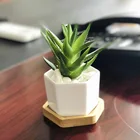 Ceramic Pot Flower High Quality Hexagonal White Ceramic Succulent Cactus Plant Pot Flower Planter With Wooden Tray Planter