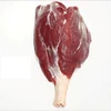 /product-detail/kashila-buffalo-meat-frozen-meat-halal-meat-62009000263.html