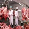 /product-detail/halal-frozen-boneless-beef-halal-buffalo-meat-mutton-62013764497.html