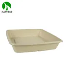 Large Capacity Food Packaging One Time Use Compostable Takeaway Bagasse Boxes