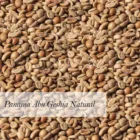 Arabica Arabica Dropship Coffee Panama Abu Geshia Natural Arabica Green Coffee Bean Wholesale