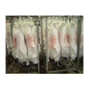 /product-detail/fresh-chilled-lamb-meat-carcass-for-sale-62016836698.html