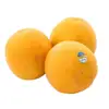 /product-detail/best-grade-fresh-valencia-oranges-bulk-exporter-dealer-62017309577.html