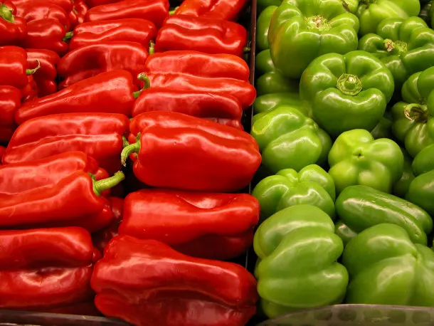 fresh farm green and red fresh bell pepper india