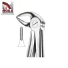 /product-detail/lower-roots-forceps-dentist-tools-dental-instruments-types-of-dental-forceps-62012396096.html