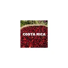 Whole Bean Costa Rica SHB Tarrazu Green Coffee Honey Anaerobic Rainforest Alliance