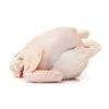 /product-detail/ukraine-halal-frozen-whole-chicken-chicken-parts-62015358265.html