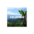 Best Seller Fully Washed Colombia Excelso EP Green Coffee Ideal Product Whole Bean