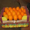 /product-detail/fresh-valencia-orange-and-mandrin-oranges-citrus-from-south-africa-ready-to-export-62012794459.html