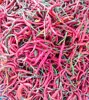 /product-detail/fresh-red-chili-pepper-super-hot-from-central-indonesia-62011208495.html