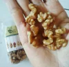 /product-detail/walnut-kernels-turkish-walnuts-exporter-62017770283.html